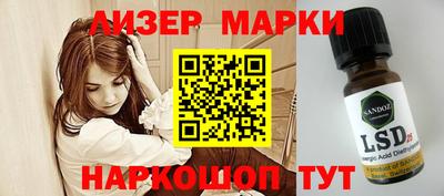 apvp Камышлов