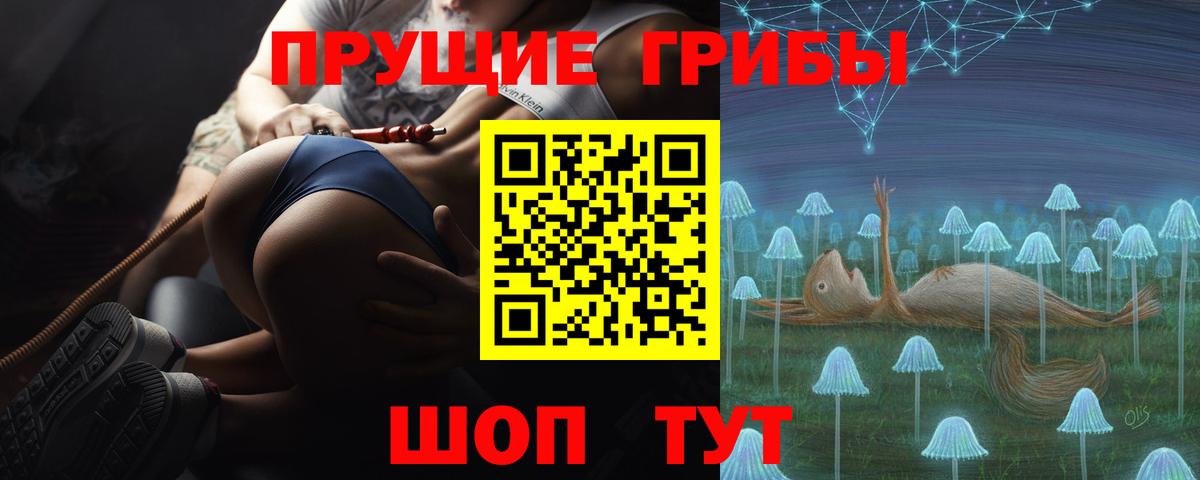 наркота  Вход с VPN  Щёкино  Галлюциногенные грибы GOLDEN TEACHER 